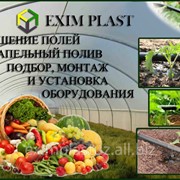 Автоматические системы полива (автополив) фото