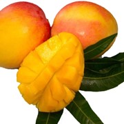 Манго Харьков фото