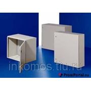 Rittal | Шкаф электрический навесной IP69К 400х400х250 с монтажной платой (ШхВхГ) | арт. 1101020 фото