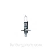 А/м лампа H1 CA-RE Halogen Bulb 12V 55W P14,5s Longlife фото