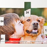 Магнитная таблица умножения, артикул 3003 Мальчик с собакой фото