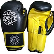 Перчатки боксерские AGATA 350 кожа 14 oz (пара) фото