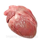 Сердце свиное фото