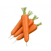 Морковь Олимпо фото