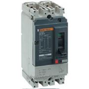 Автоматический выключатель COMPACT NS100H TM16D 2П 2T | арт. 29615 Schneider Electric фотография