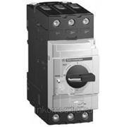 Автоматический выключатель GV3 с комбинированным расцепителем 25А винтовые зажимы | арт. GV3P25 Schneider Electric фото