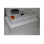Инкубатор для яиц Несушка БИ-1 на 36 яиц с автоматическим переворотом и аналоговым терморегулятором (12/220В) фото
