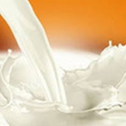 Молоко кобылье фото