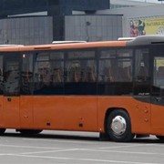 Автобус пригородный пассажирский МАЗ-231 фото
