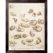 Картина Эскиз с кошками и другими животными, Винчи, Леонардо да фотография