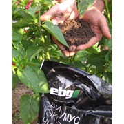 Натуральное органическое удобрение питание лечение защита растений восстановление плодородия подавление болезненной микрофлоры фото