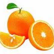 Свежие фрукты, апельсины оптом, в Украине, цена, фото, цена