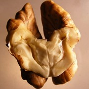 Ядро грецкого ореха фото