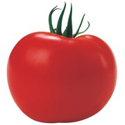 Семена томатов ТАМАРИС F1 250 сем.