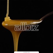 Мёд из лесного разнотравья, купить Украина, Донецк