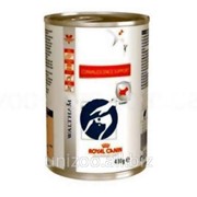 Лечебные консервы для собак Royal Canin Convalescence Support 0,42 кг