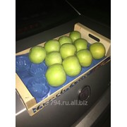 Яблоки разных сортов Сербия фото