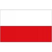 Виза в Польшу фото