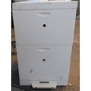 Улей 2 корпуса дадан 9 рам фото