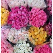 Букет из 25 роз (цвета в ассортименте)