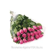 Букет из 21 розы розовой фото