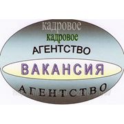 Трудоустройство фото