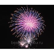Организация САЛЮТА фото