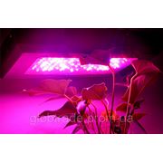 Гидропонная фитолампа “Sense-milla“для роста растений - 240 Ватт, 80 светодиодов, 2x УФ СВЕТОДИОДА фотография