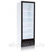 Холодильный шкаф Frostor RV 400 G-pro фото