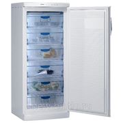 Морозильный шкаф Gorenje F 6245W фото
