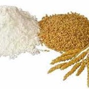 Мука пшеничная Запорожье от производителя, продажа