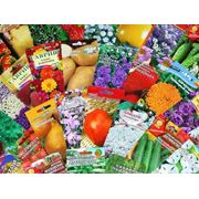Семена овощей, цветов, газонов фото