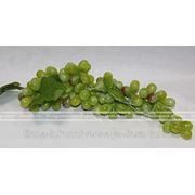 Виноград с патиной “Киш-Миш“ - 110 ягод фото