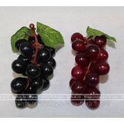 Виноград блестящий 21 ягода фото