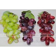 Виноград с патиной, крупный - 36 ягод фото