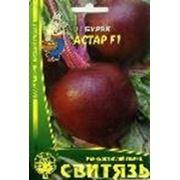 Семена свеклы Астар F1 10 г фото