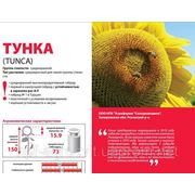 Семена подсолнечника Тунка (производитель Лимагрейн, LG) фото