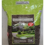 Газонная трава Теневыносливая DLF-Trifolium 5 кг