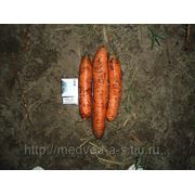 Морковь крупная на “корейские“ салаты фото