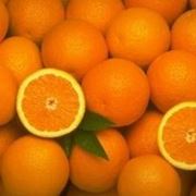 Апельсины Турецкого Происхождения