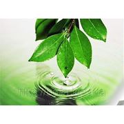 Пектиновые таблетки (пектин из свеклы и смородины) 100 табл.