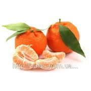 Мандарин фото