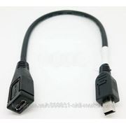 NoName Адаптер USB F 5pin (micro) to USB M 5pin (mini) 0,13 см фотография