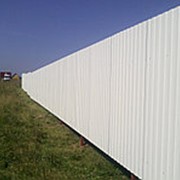 Забор из профнастила. Цвет БЕЛЫЙ RAL 9003 высота 2м фото