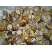 Продаем гриб Белый (1сорт) 4-8см замороженный