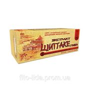 Гриб Шиитаке №40