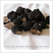 Паста Трюфеля черного фото