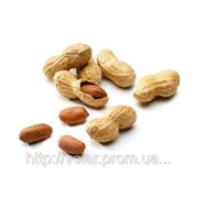 Арахис фото