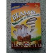 Мицелий королевской вешенки (еринги) на палочках фото