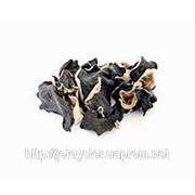 Черный древесный гриб Муэр